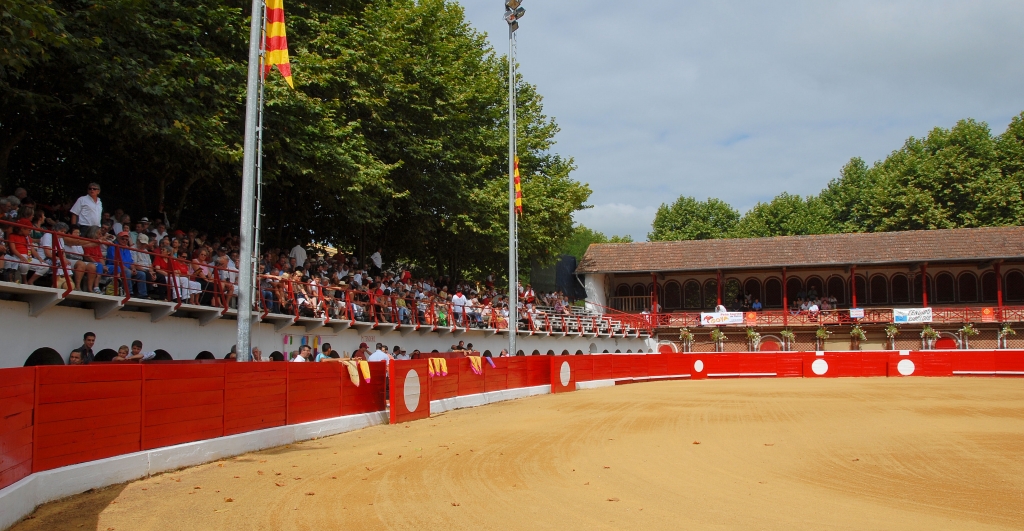 0236_arenes_de_Riscle_DSD_6857.JPG