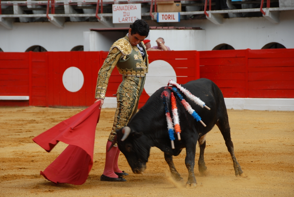 0690_Thomas_Dufau_DSD_6902.JPG