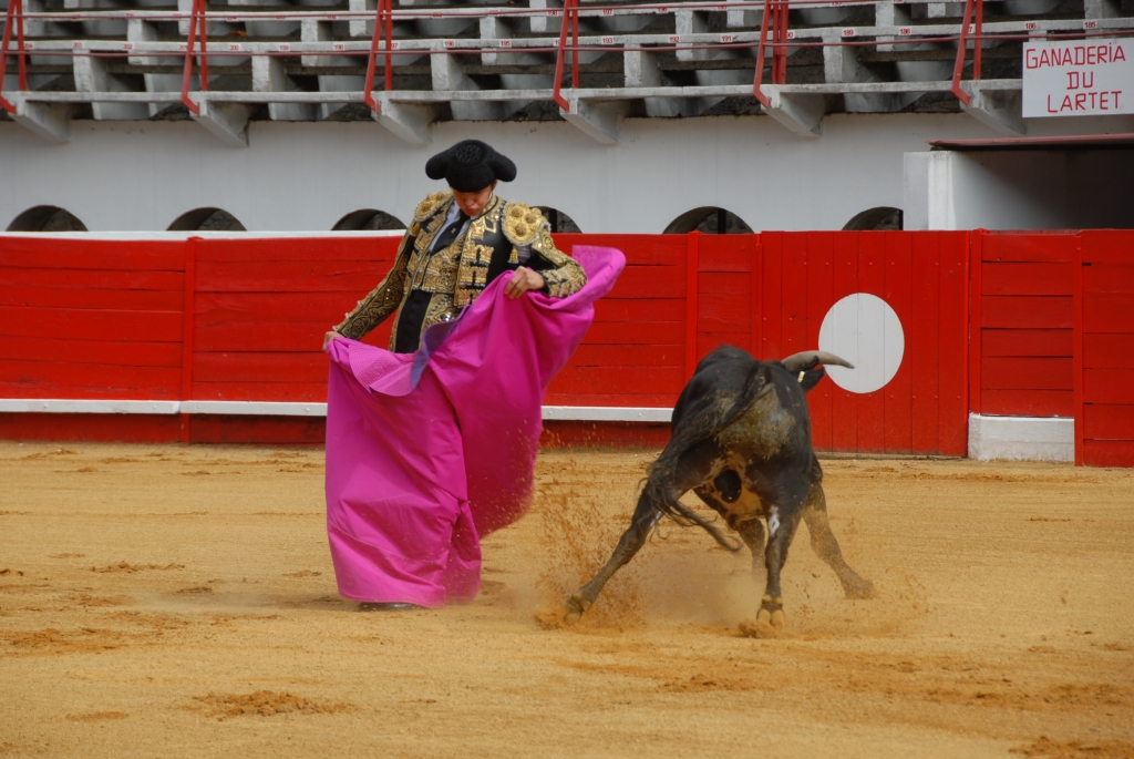 0854_Cayetano_Ortiz_DSD_6870.JPG