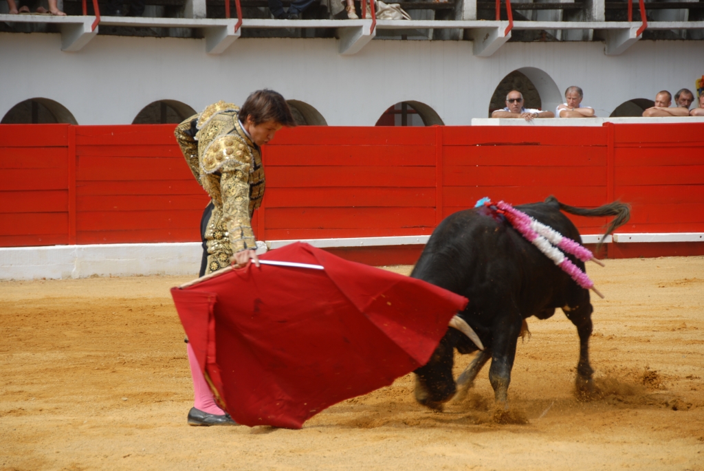 0860_Cayetano_Ortiz_DSD_6926.JPG