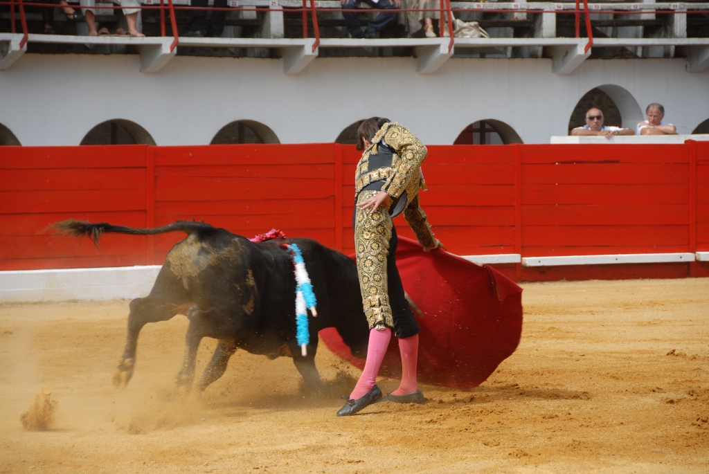 0870_Cayetano_Ortiz_DSD_6927.JPG