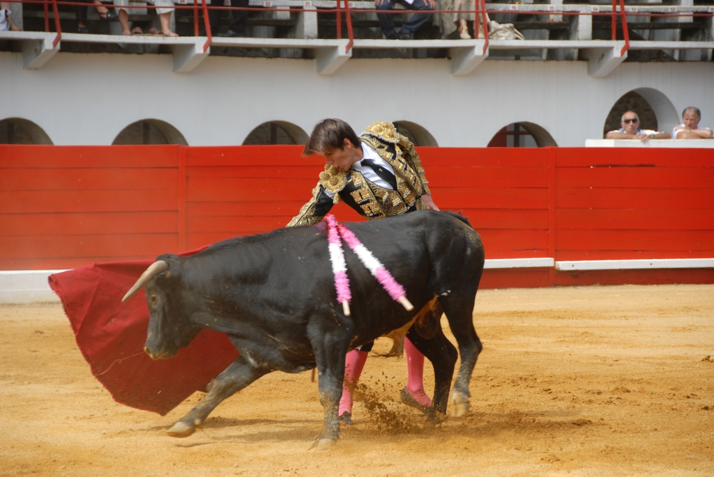 0890_Cayetano_Ortiz_DSD_6929.JPG