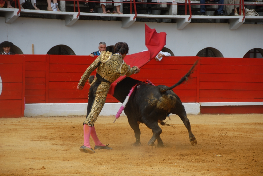 0920_Cayetano_Ortiz_DSD_6932.JPG