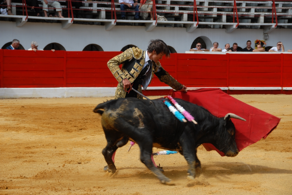 0930_Cayetano_Ortiz_DSD_6933.JPG