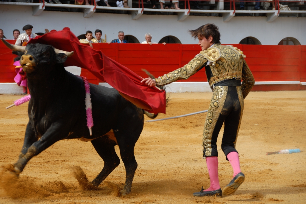 0960_Cayetano_Ortiz_DSD_6936.JPG