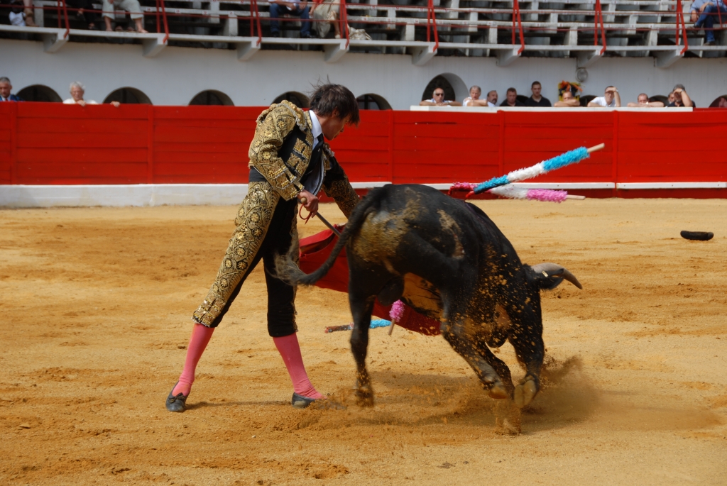 0980_Cayetano_Ortiz_DSD_6938.JPG