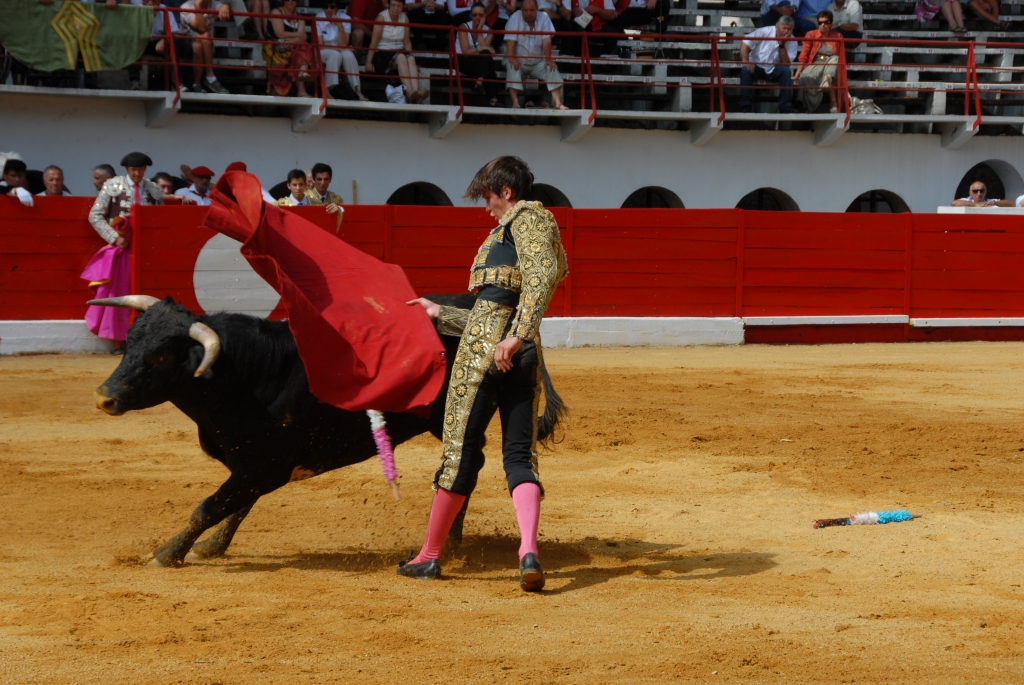 0990_Cayetano_Ortiz_DSD_6939.JPG