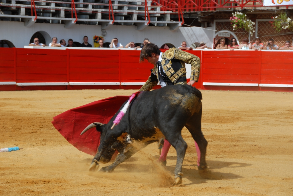 1020_Cayetano_Ortiz_DSD_6943.JPG