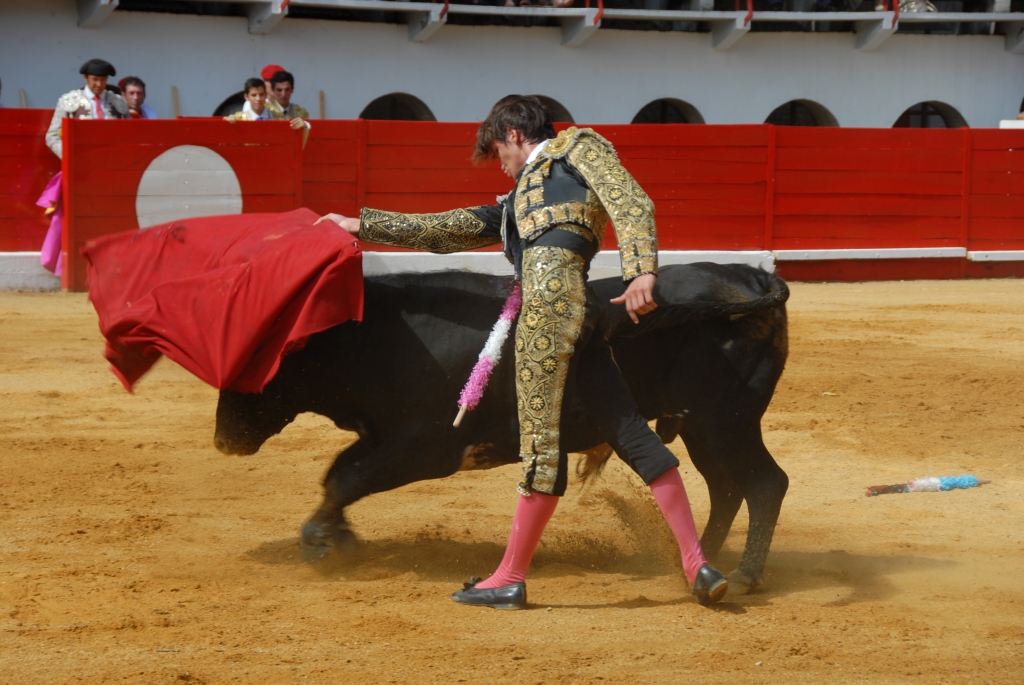 1040_Cayetano_Ortiz_DSD_6945.JPG