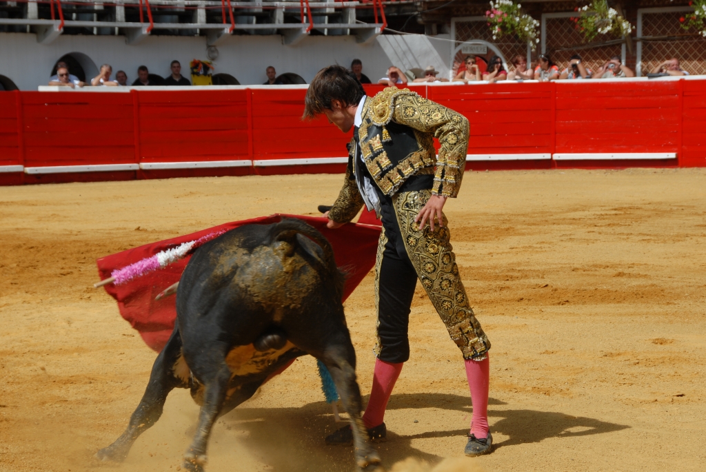 1060_Cayetano_Ortiz_DSD_6947.JPG