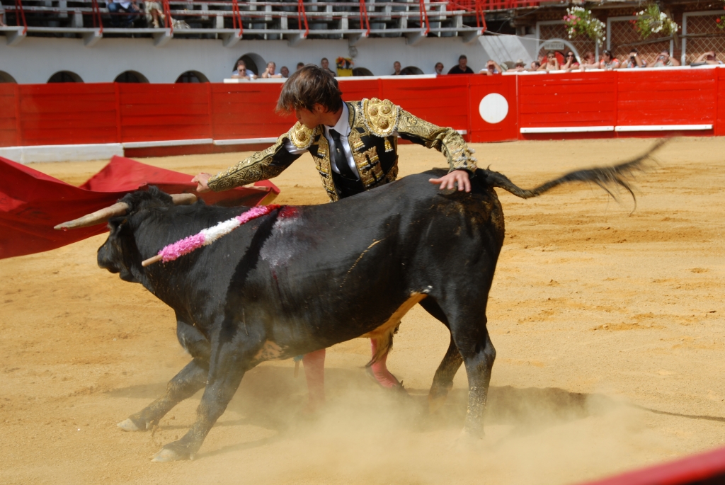 1090_Cayetano_Ortiz_DSD_6950.JPG