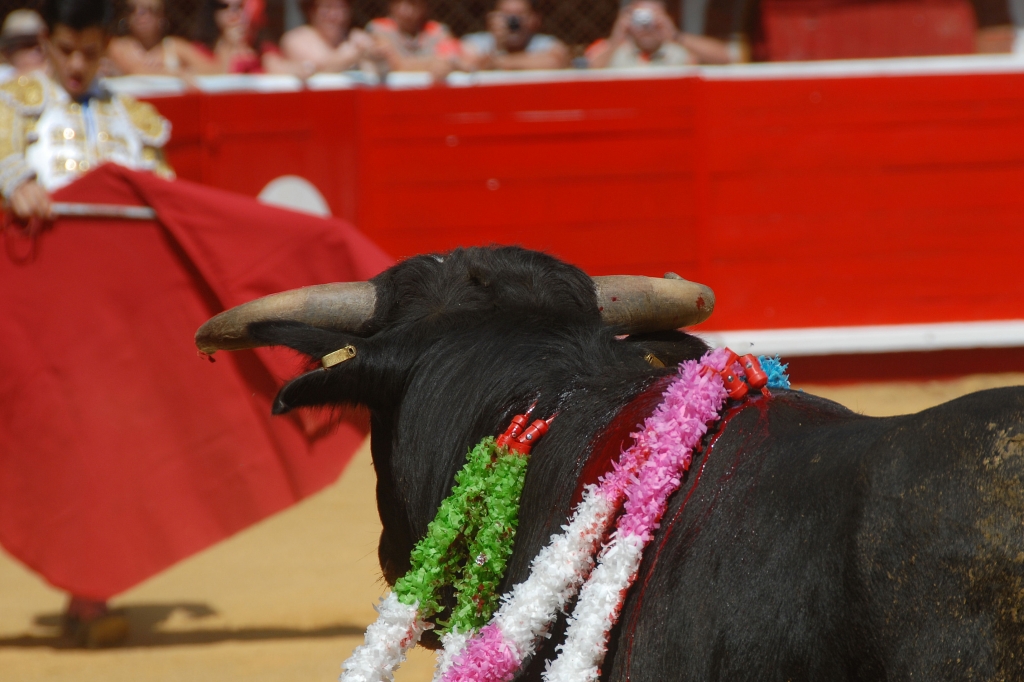 1270_Sergio_Blanco_DSD_6971.JPG