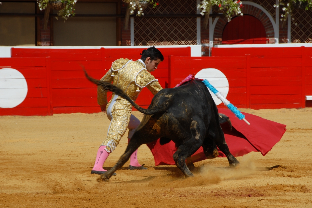 1310_Sergio_Blanco_DSD_6976.JPG