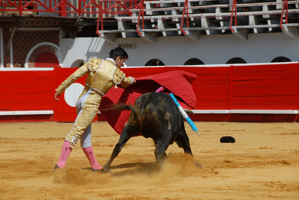 1330_Sergio_Blanco_DSD_6978.JPG