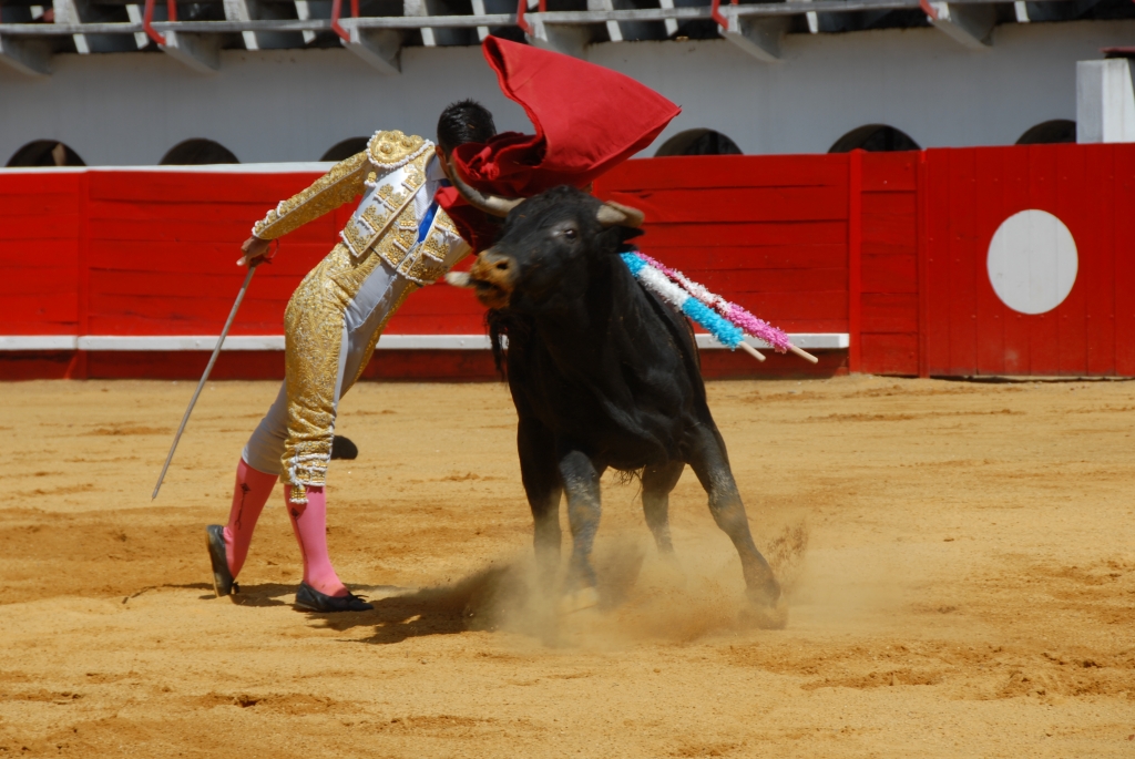 1340_Sergio_Blanco_DSD_6980.JPG