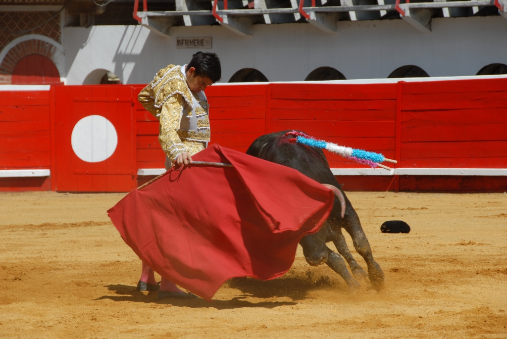 1350_Sergio_Blanco_DSD_6981.JPG