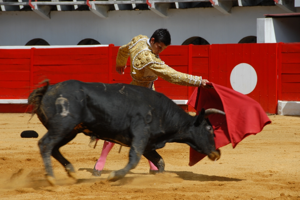 1360_Sergio_Blanco_DSD_6982.JPG