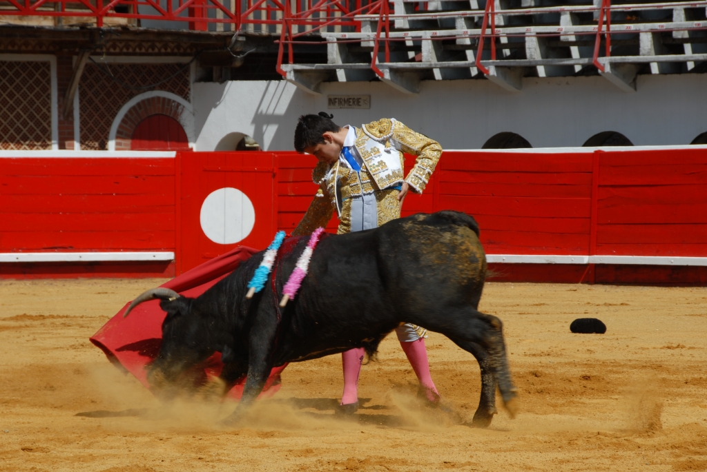 1370_Sergio_Blanco_DSD_6983.JPG
