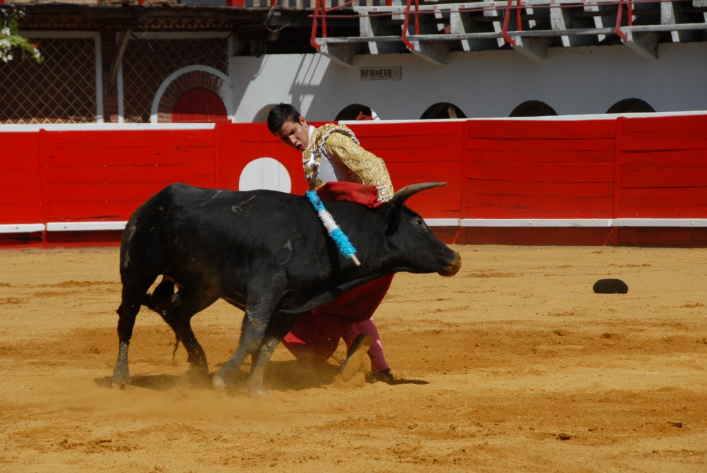 1450_Sergio_Blanco_DSD_6998.JPG