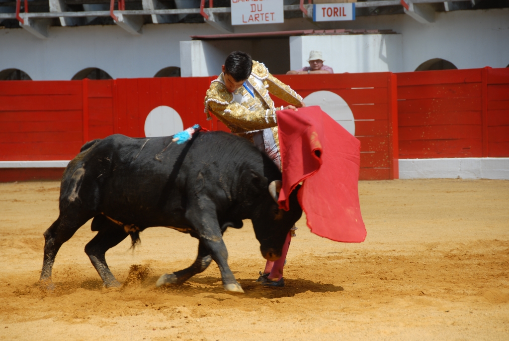 1470_Sergio_Blanco_DSD_7000.JPG