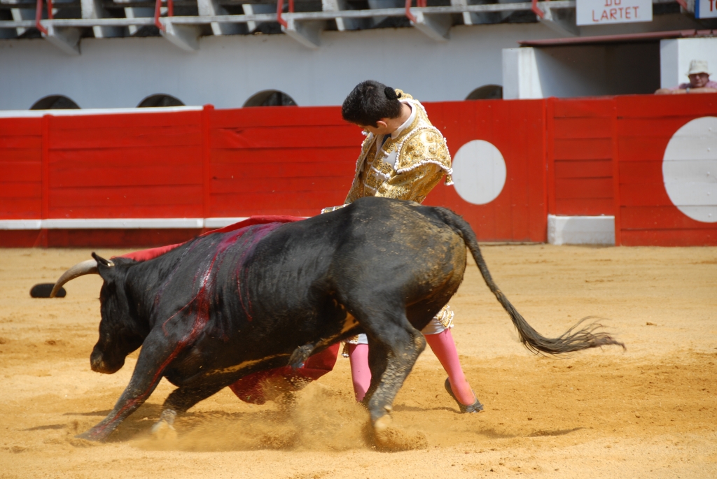 1500_Sergio_Blanco_DSD_7003.JPG