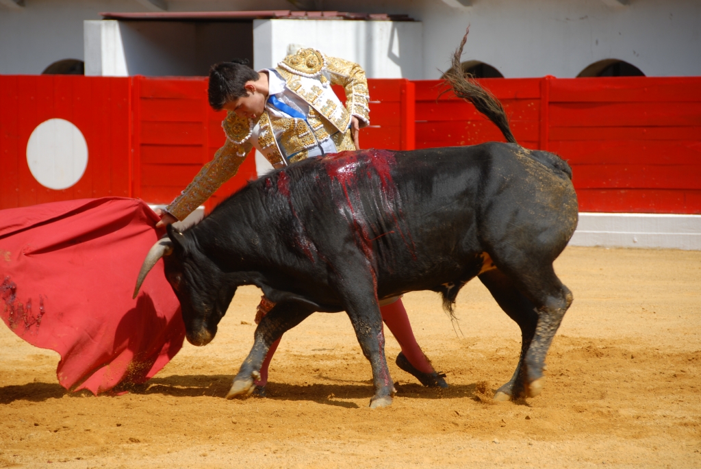 1510_Sergio_Blanco_DSD_7004.JPG