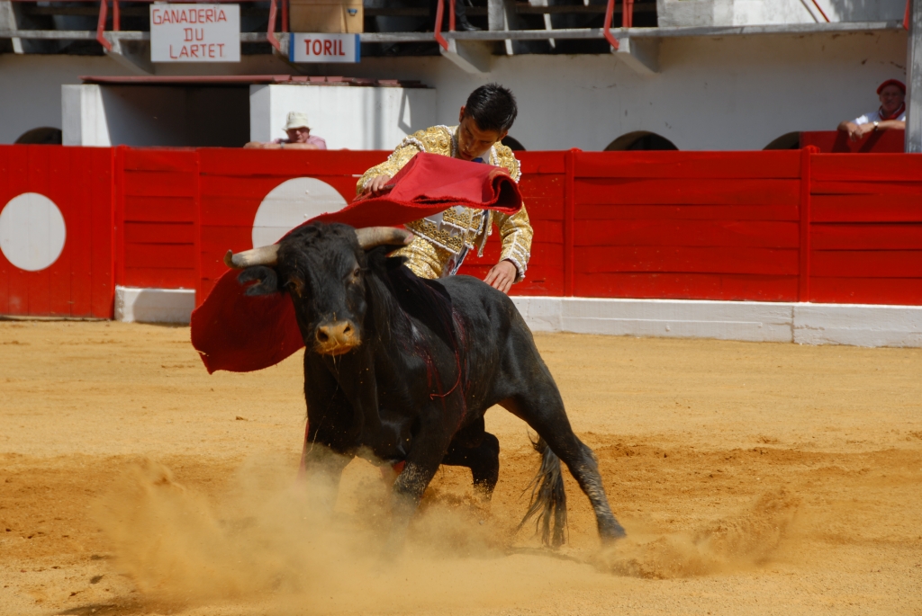 1520_Sergio_Blanco_DSD_7005.JPG