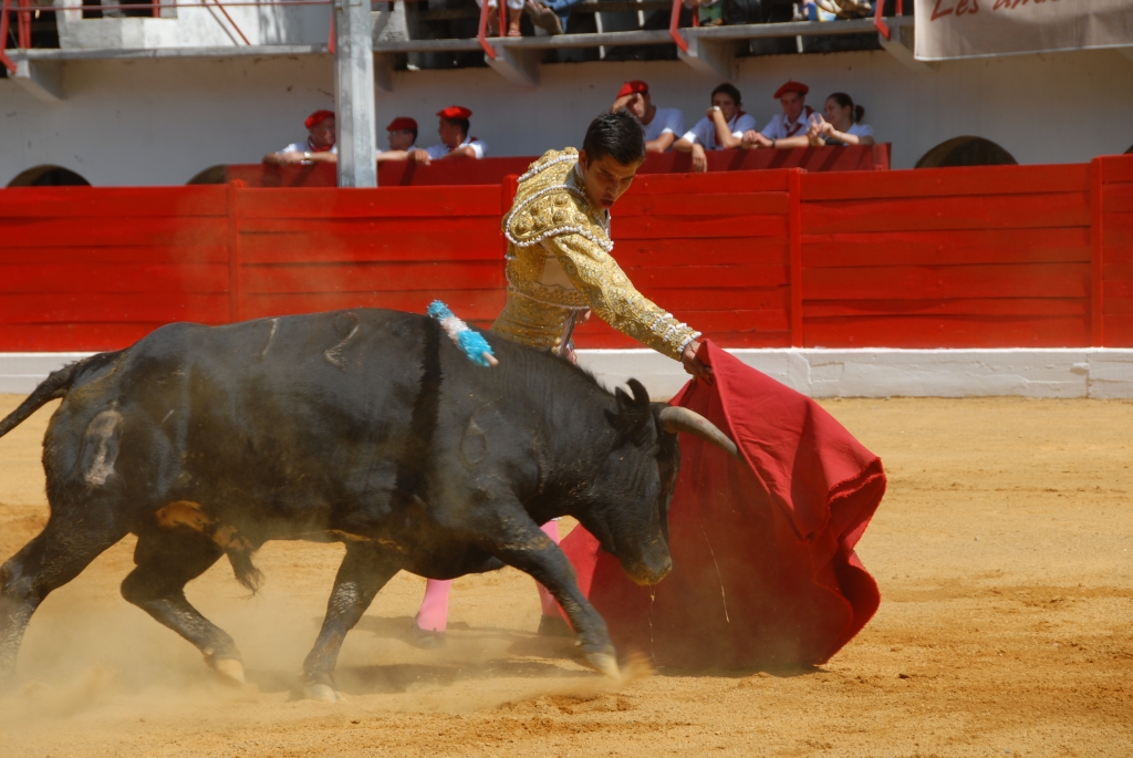 1560_Sergio_Blanco_DSD_7011.JPG