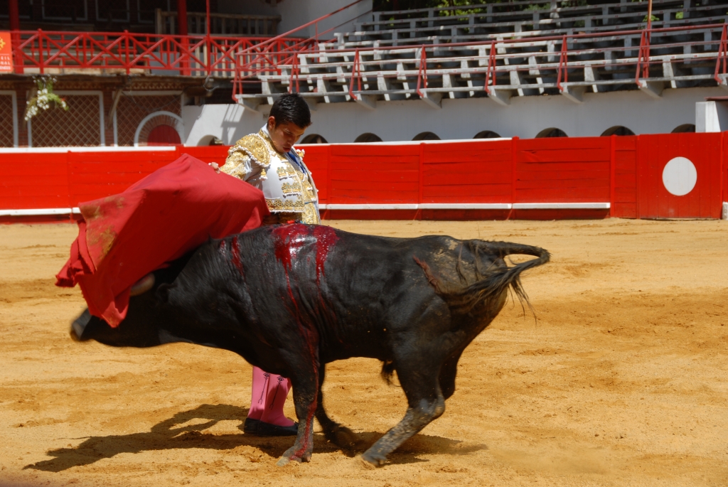 1570_Sergio_Blanco_DSD_7012.JPG