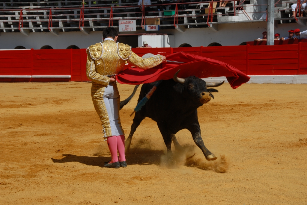 1590_Sergio_Blanco_DSD_7015.JPG