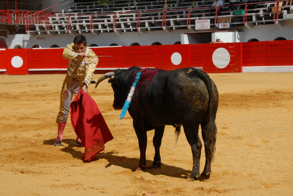 1630_Sergio_Blanco_DSD_7019.JPG