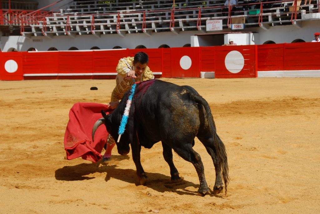 1650_Sergio_Blanco_DSD_7021.JPG