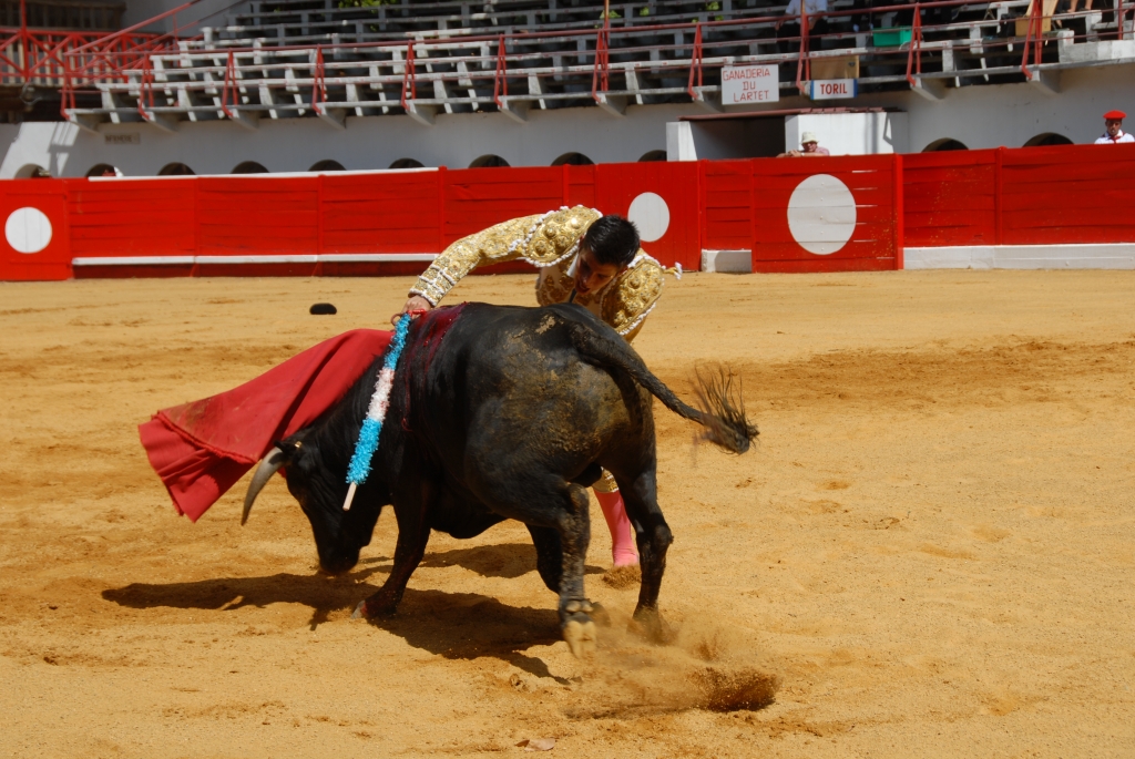 1660_Sergio_Blanco_DSD_7022.JPG