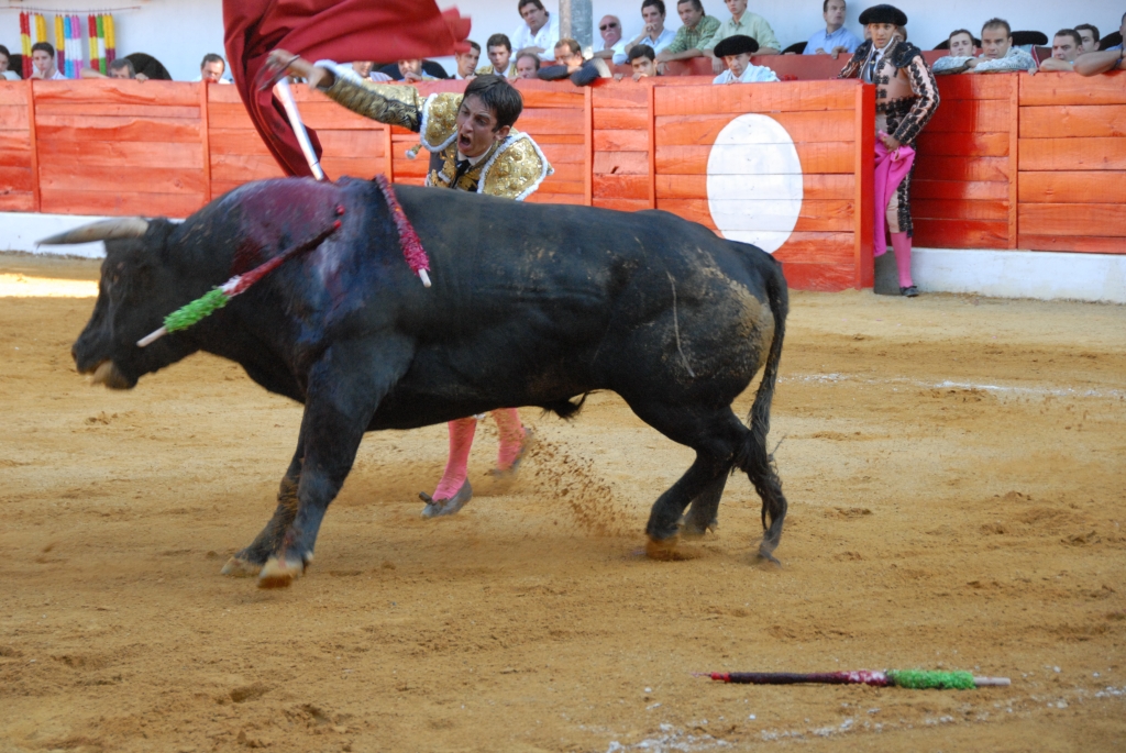 2930_Tomasito_DSD_7249.JPG
