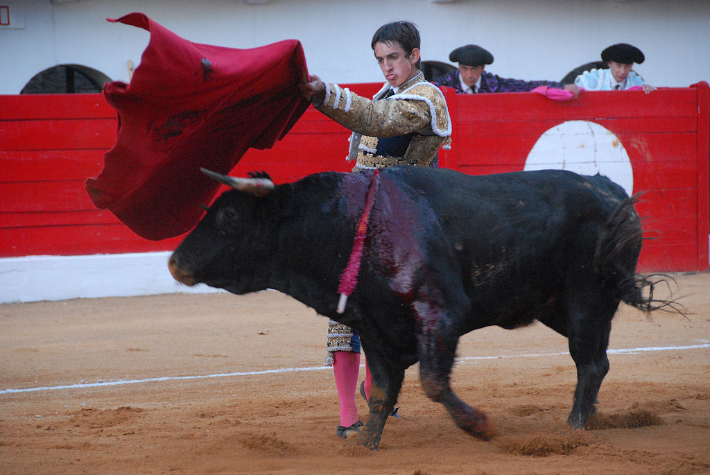 3080_Tomasito_DSD_7292.JPG