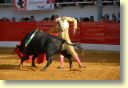 2430_Roman_Perez_DSD_7136.JPG