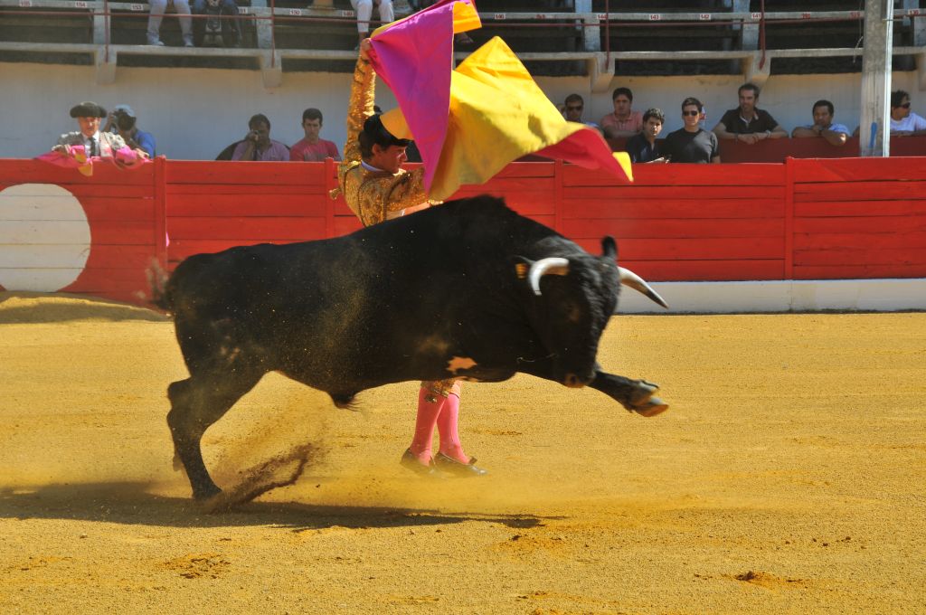 Juan_Leal_DSE_6421.JPG