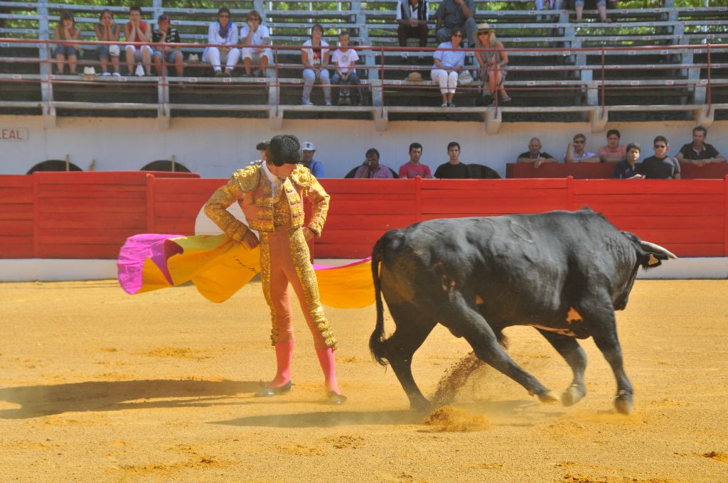 Juan_Leal_DSE_6424.JPG