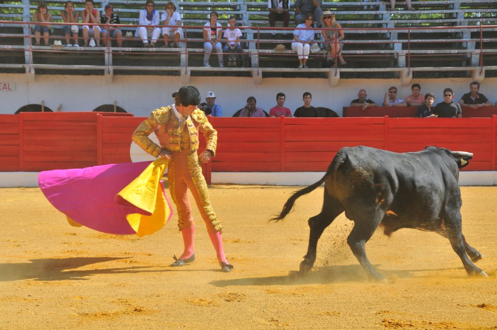 Juan_Leal_DSE_6425.JPG