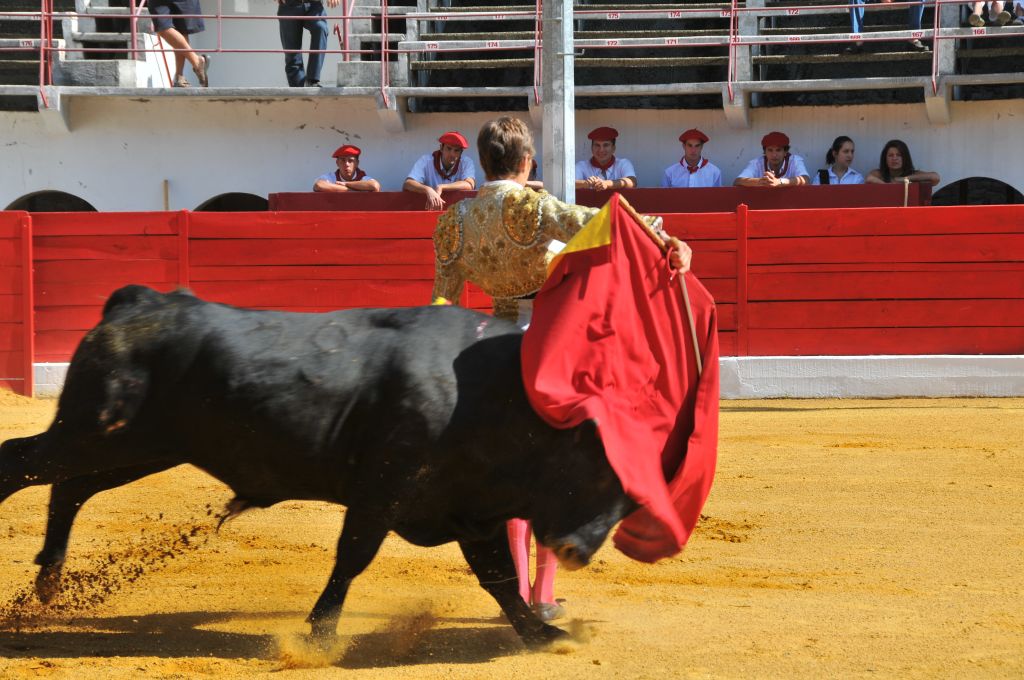 Juan_Leal_DSE_6429.JPG