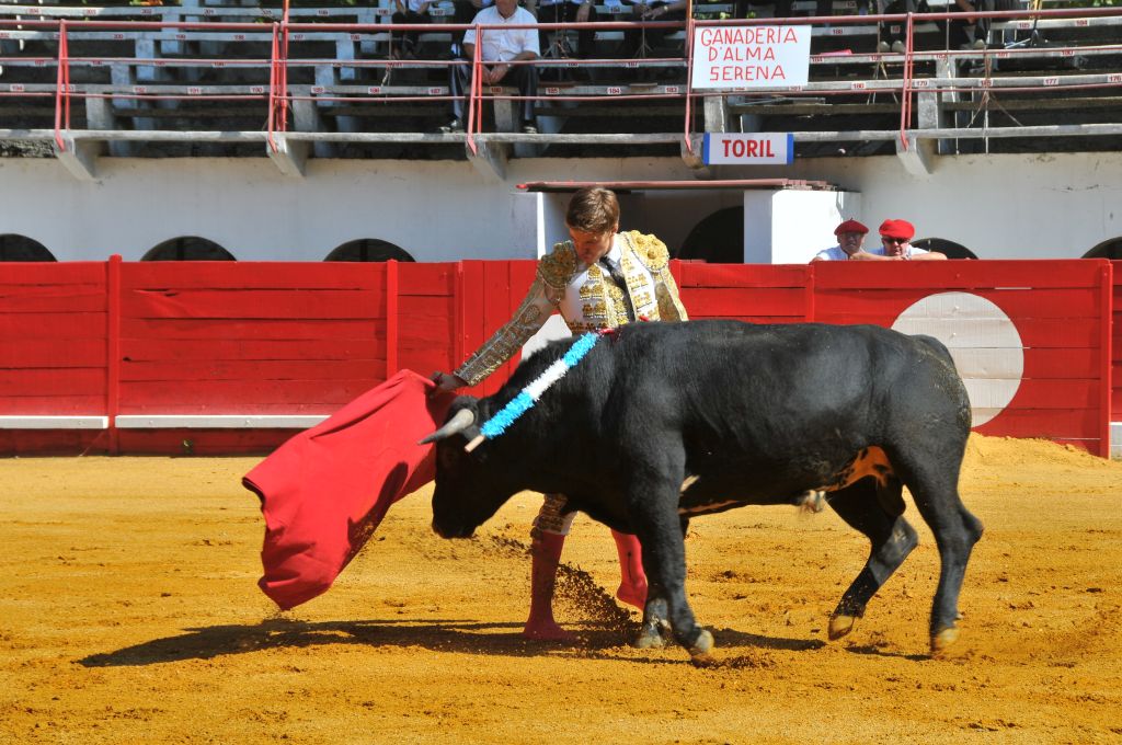Juan_Leal_DSE_6432.JPG
