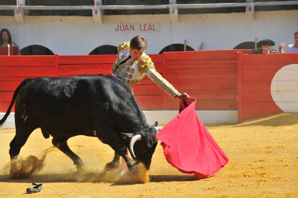 Juan_Leal_DSE_6437.JPG