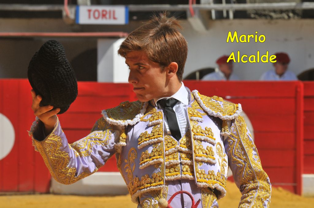Mario_Alcalde_DSE_6495.JPG