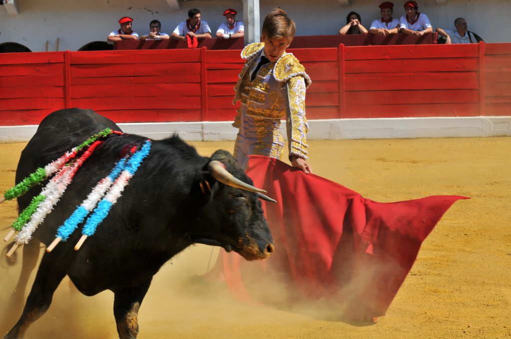 Mario_Alcalde_DSE_6498.JPG