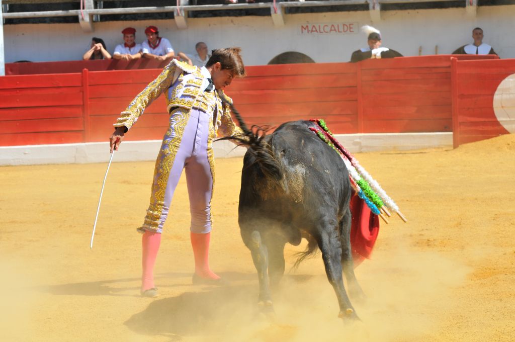 Mario_Alcalde_DSE_6499.JPG