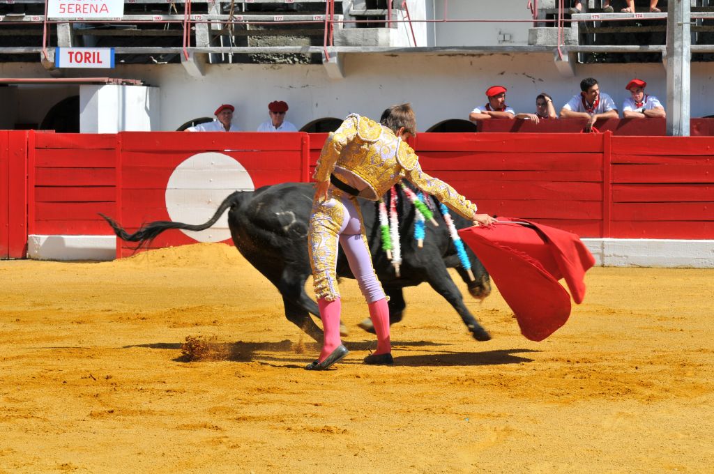 Mario_Alcalde_DSE_6504.JPG