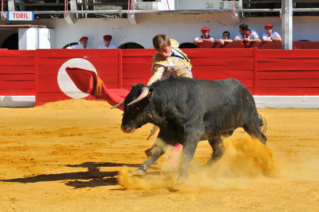 Mario_Alcalde_DSE_6505.JPG
