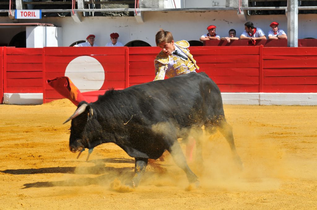 Mario_Alcalde_DSE_6506.JPG