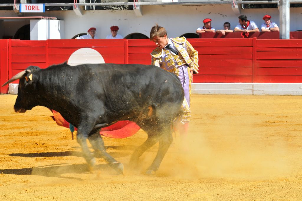 Mario_Alcalde_DSE_6507.JPG