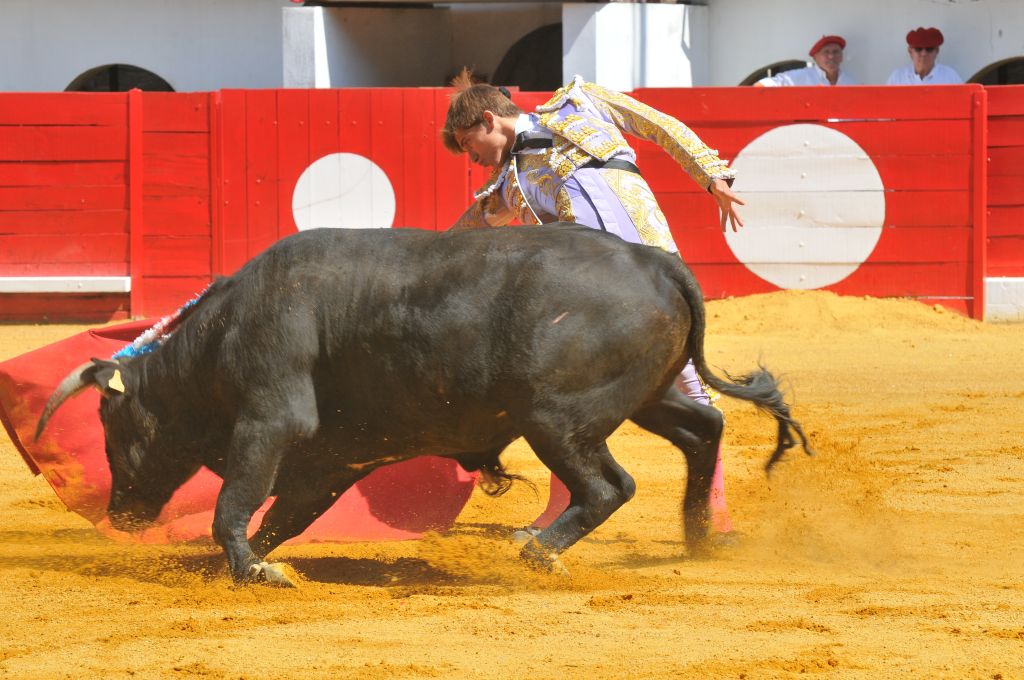 Mario_Alcalde_DSE_6508.JPG